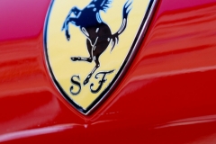 Ferrari_DanieleScarpa_110703_105b