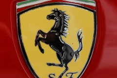 Ferrari_DanieleScarpa_110703_189
