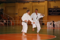 Karate_DanieleScarpa_110612_021