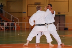 Karate_DanieleScarpa_110612_024