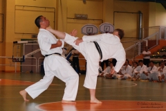 Karate_DanieleScarpa_110612_030