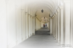 Vicenza_DanieleScarpa_140525_062G