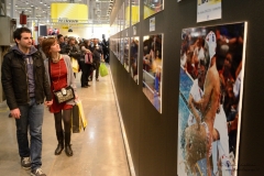 PhotoShow_2013_196_01c