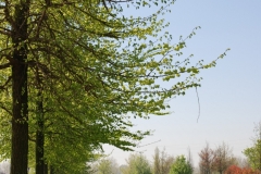 SaloneNautico_DanieleScarpa_53