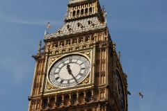 London_127D_DanieleScarpa