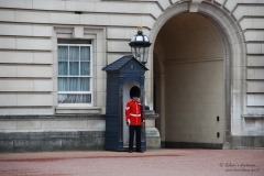 London_473B_DanieleScarpa