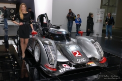 MotorShow11_DanieleScarpa_173_01