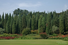 Parco_Sigurta_DanieleScarpa_007