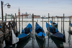 Venezia9647-3-2-daniele-scarpa