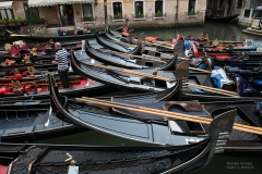 Venezia9854-2-2-daniele-scarpa